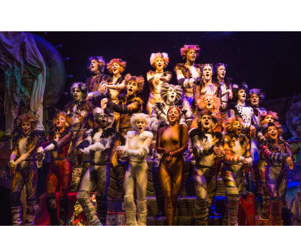 Jonathan Craft | Associate Conductor of Cats Musical